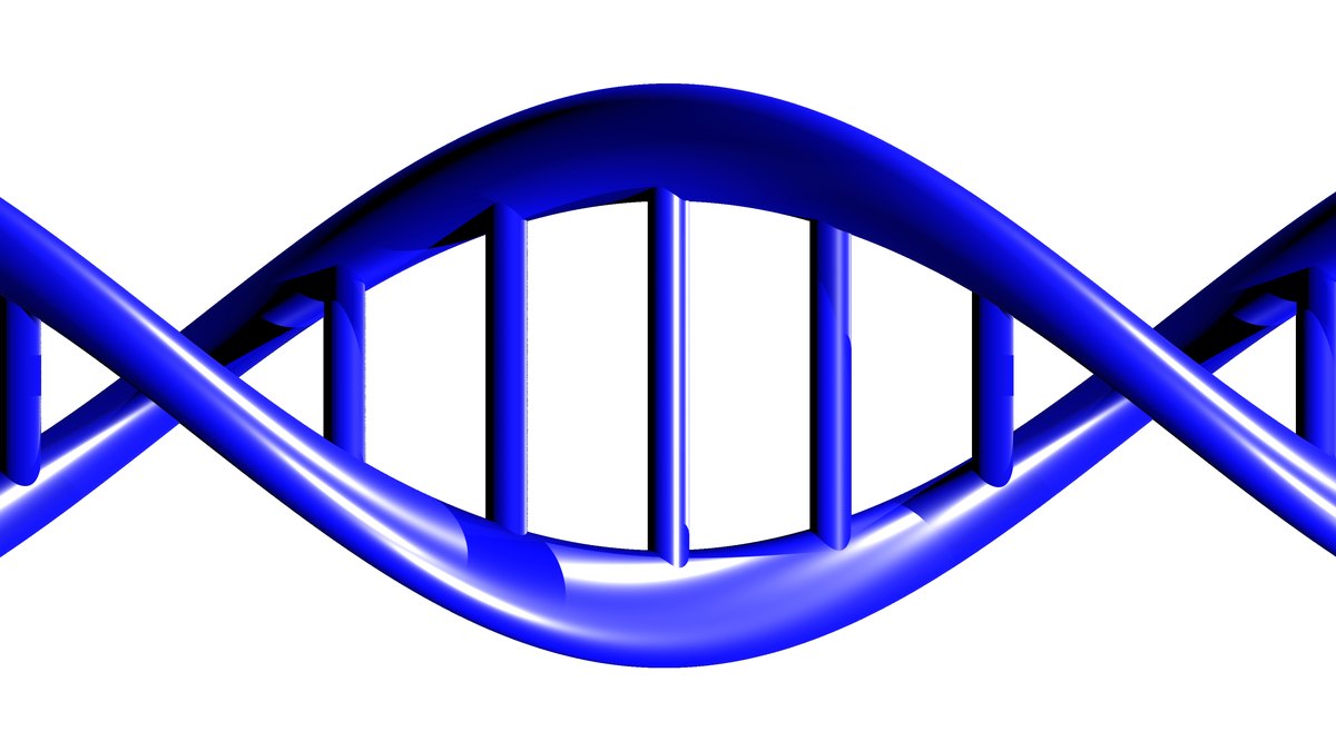 DNA double helix — the molecules in which human genetic adaptation and bio-ethnicity are written, a Panacea Bio Chem review by Bogdan Dicoias